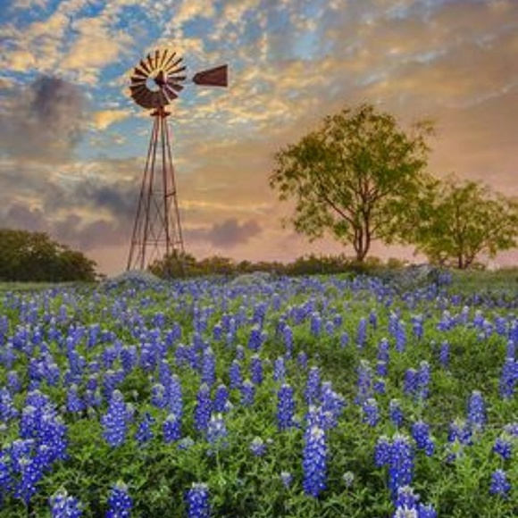 Meet your poshers, Margaret and Raul - Picture 2 of 4